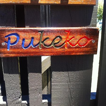 Appartamento Pukeko On Bay Tauranga Esterno foto